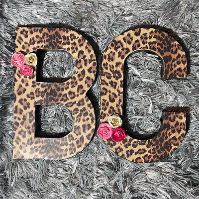 Beautiful Chaos, LLC