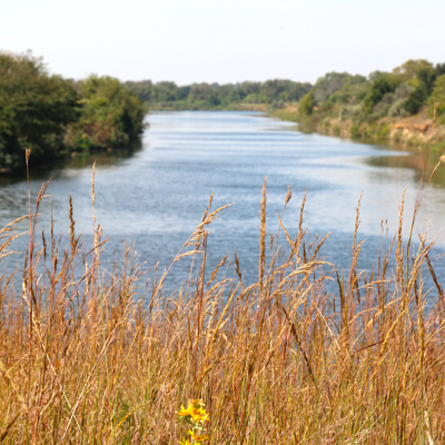 Mined Land Wildlife Area